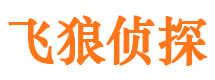 清丰市调查公司